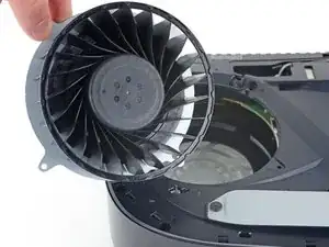 Fan