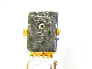 LCmStRsmfmEXTs46