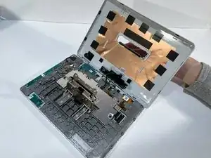 MsgvSDjC1kDVx2YN