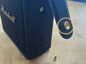 NIIsWbrdGiJc2P3C