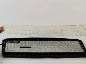 NM2cXCWET1ejUWEy