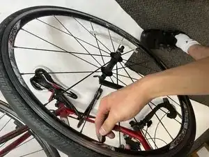 QQuCWPmNuiUZcbyM