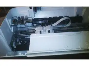 Qj1S5ZblRVLIuUVG