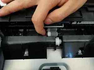 RgPrMmrbgvNHTvNr