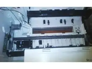 gdPLfNgXcVmvW3OA