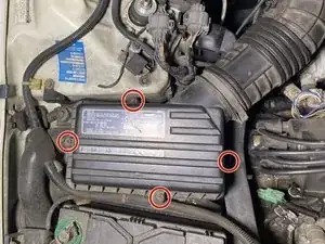 pTq1lHQuXC1Ac1DT