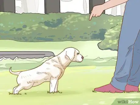 Image titled Treat Your Dog Step 6