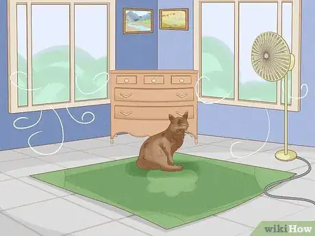 Image titled Cool Your Cat Down in the Summer Step 2