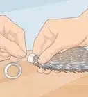 Perform Salt Cure Taxidermy