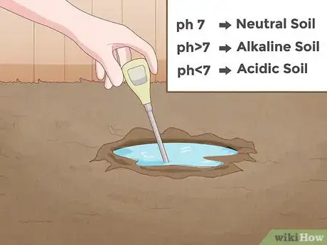 Image titled Test Soil pH Step 4