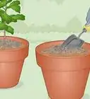 Make a Worm Farm