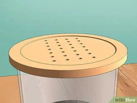 Image titled Look After a Pet Woodlouse Step 4