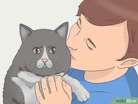Image titled Keep a Cat in Your Yard Step 1