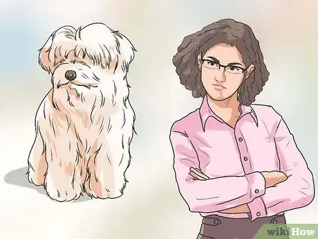 Image titled Potty Train a Shih Tzu Step 12