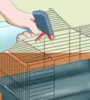Care for a Sneezing Rabbit