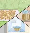 Grow Soybeans