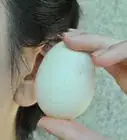 Tell if Your Eggs Are Fresh