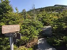 Image 52Mount Mansfield (from Vermont)