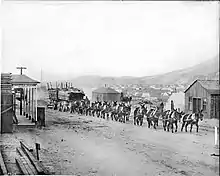 Image 2A burro-drawn wagon hauling lumber and supplies into Goldfield, Nevada, ca.1904. In 1903 only 36 people lived in the new town. By 1908 Goldfield was Nevada's largest city, with over 25,000 inhabitants. (from History of Nevada)