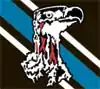 Shirt badge/Association crest