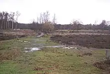 Hothfield Heathlands