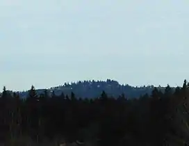 A rounded hill rises in the distance above a dark evergreen forest. The hill is forested too, but buildings are visible through the trees.