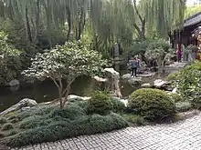 Fish pond in the garden