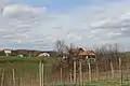 Sušica - Panorama