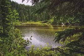Twin Lake, on the Summit Lake Trail