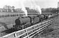 Railway cutting on The Stray, a result of Ellis' negotiations