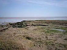 Dengie