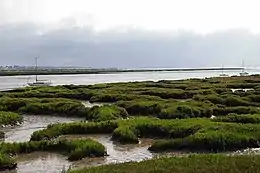 Tollesbury Wick